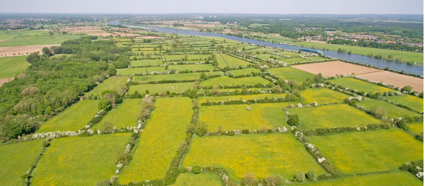 luchtfoto van weilanden platteland