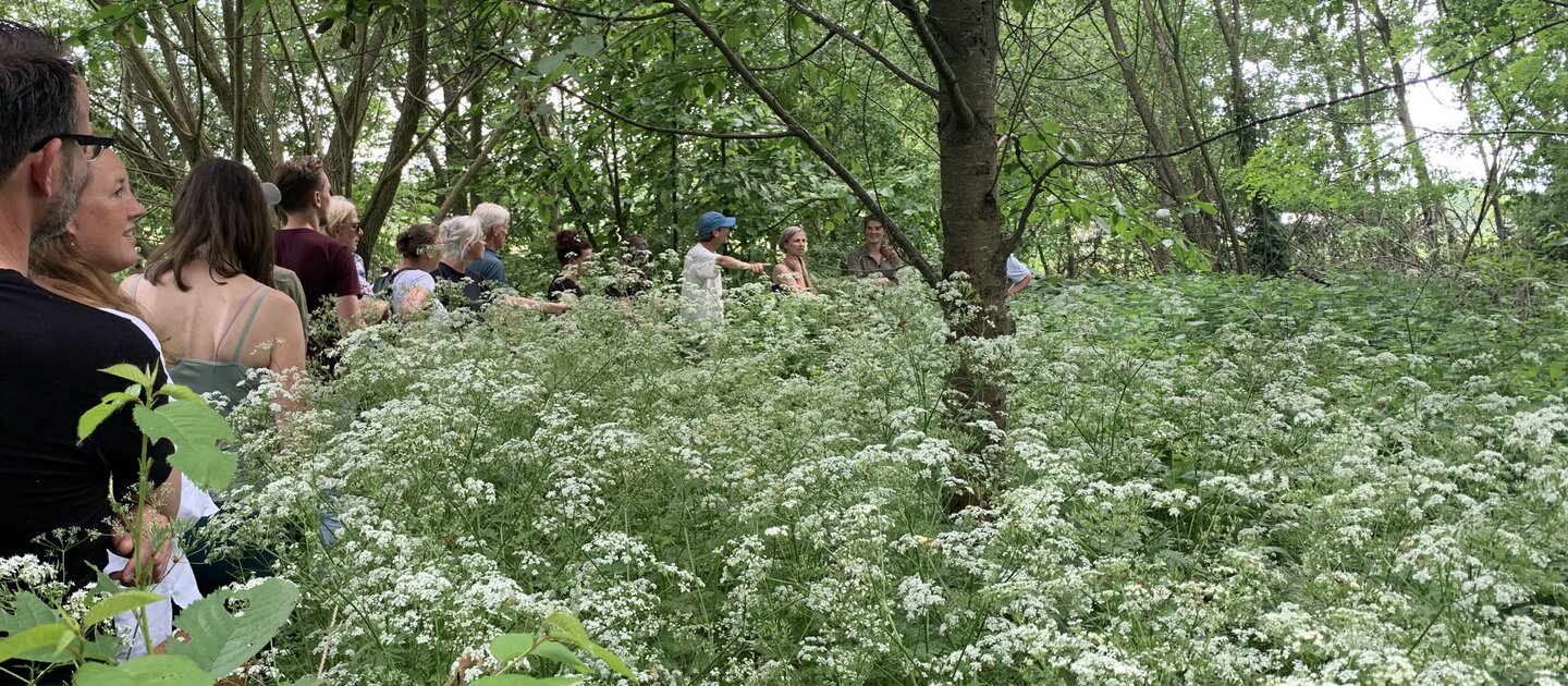 Mensen op excursie in de natuur