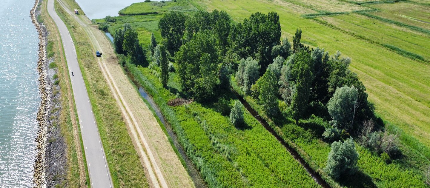 Voedselbos aan de rand van water