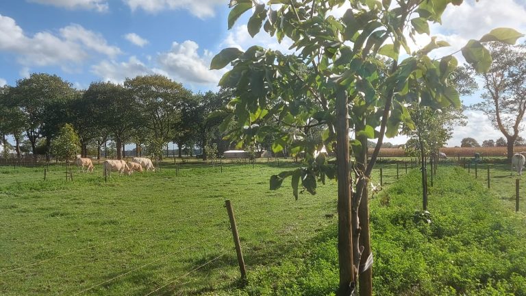 Ben jij ook bij de Meet-up Agroforestry Netwerk Nederland?