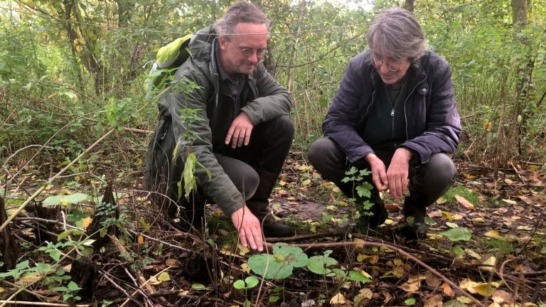 Minder exoten in het voedselbos