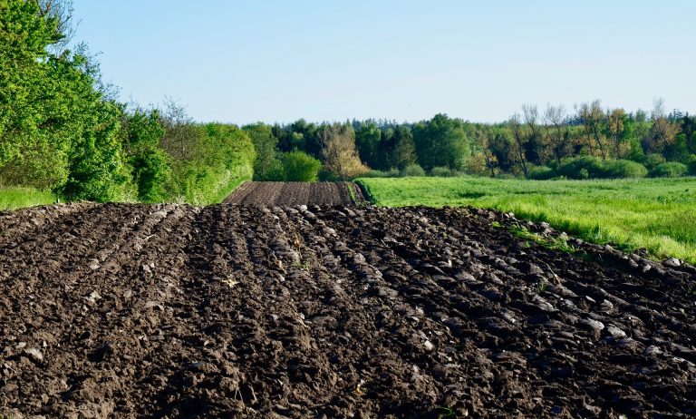 Gratis bodemadvies voor boeren via DAW
