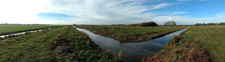 Webinar: hoe krijg ik een vergunning voor bomen in open landschap?