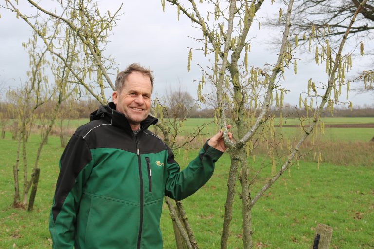 René verving koeien door notenbomen: ‘’We planten nu bomen waar onze kinderen profijt van hebben”
