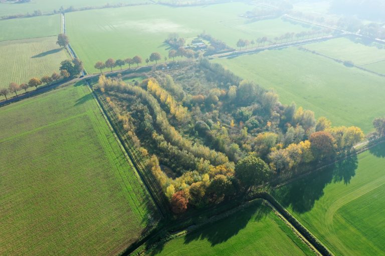 170.000 hectare voedselbos: Zo hoeven boeren niet weg uit kwetsbare natuurgebiede
