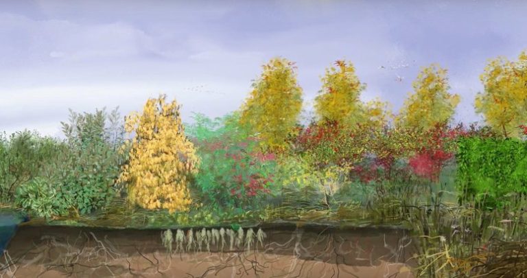 Animatie ‘Een voedselbos in ontwikkeling’ in première