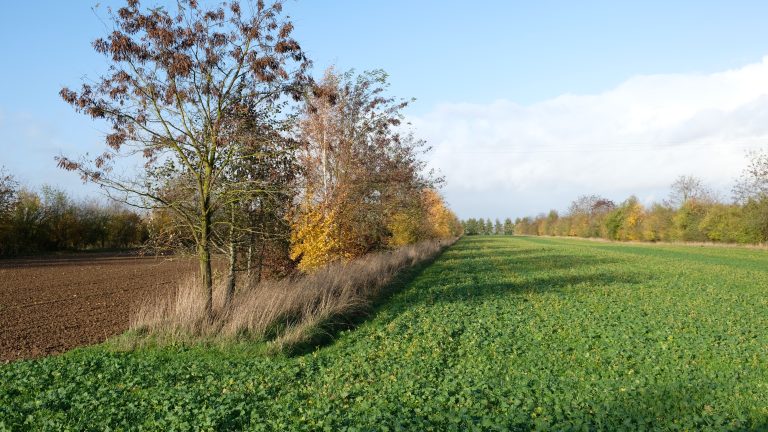 Lancering Community of Practice Agroforestry Verdienmodellen