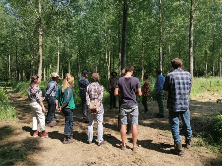 Geslaagde bijeenkomst Agroforestry en Populieren