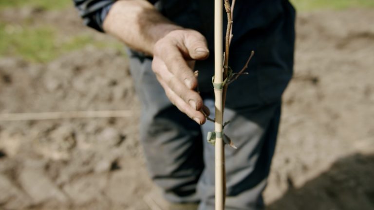 Excursie naar Nij Boelens
