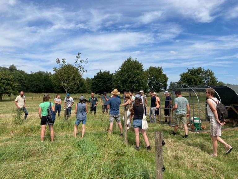Gelderlandse boeren delen praktijkervaring voederhagen