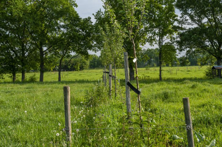 Excursie agroforestry netwerk Brabant – Janmiekeshoeve