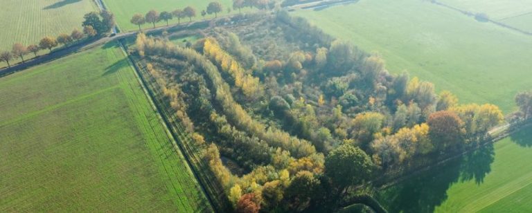 Agroforestry Nederland breidt zich uit met nieuwe provinciale netwerken