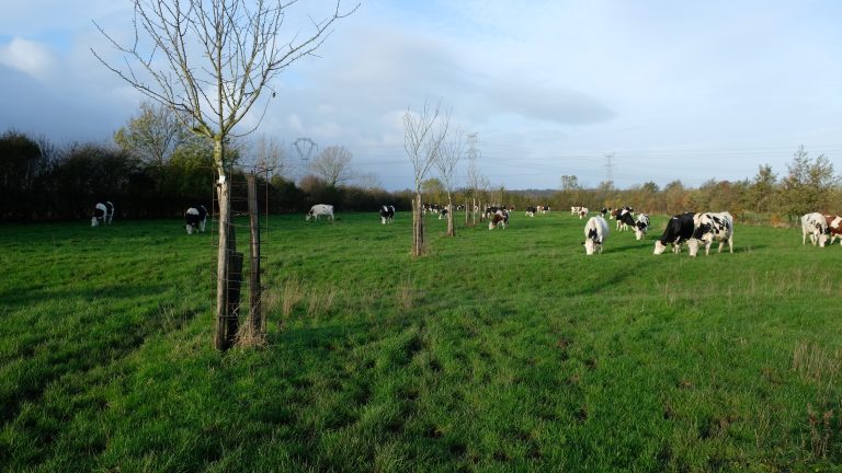 Praktijkmiddag Natuurinclusief in Cijfers in Wijchen