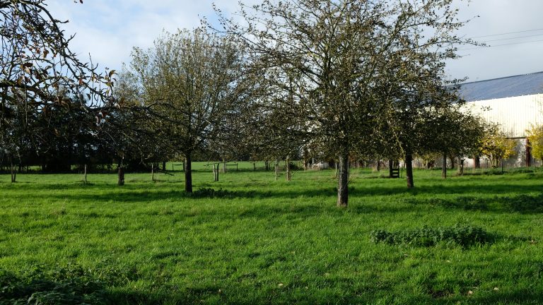 Agroforestry middag bij Theo Folmer
