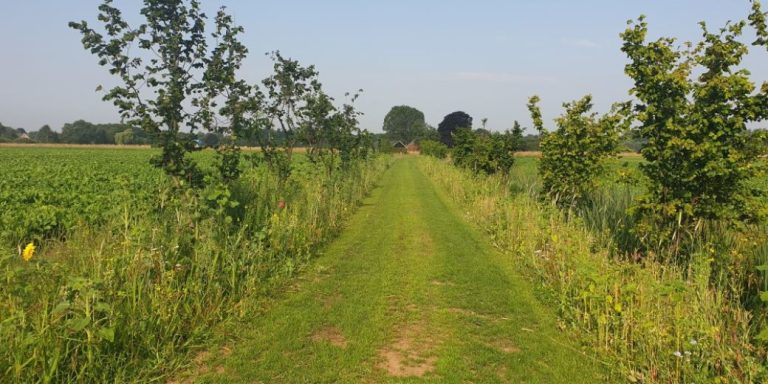 Informatiebijeenkomst Agroforestry netwerk Limburg