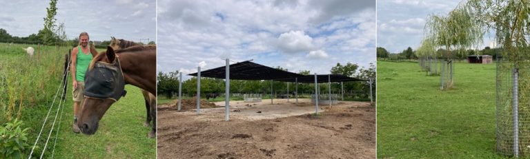Kennismakings-webinar Voederbomen en paarden