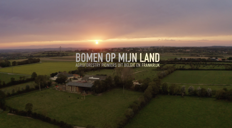 Organiseer je Eigen Vertoning van ‘Bomen op mijn land’