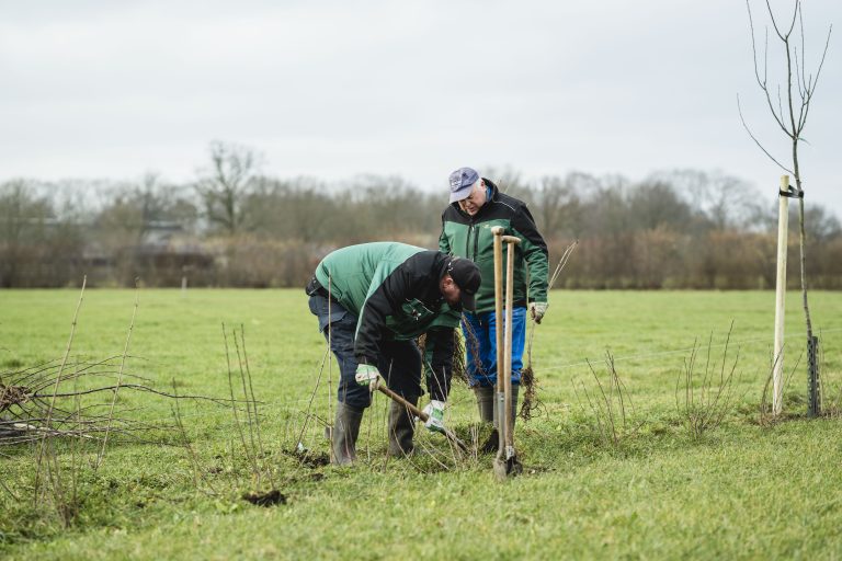 Ondernemers in De Achterhoek aan de slag met aanplant Houtwal 2.0