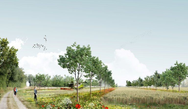 Voorlichting- dialoog sessie Agroforestry
