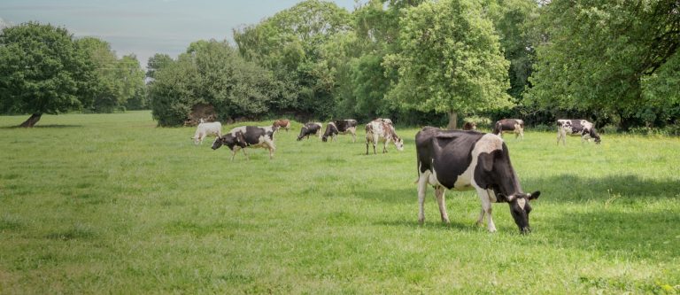 Subsidie voor voor innovatieve samenwerkingen in de landbouw van start in Gelderland