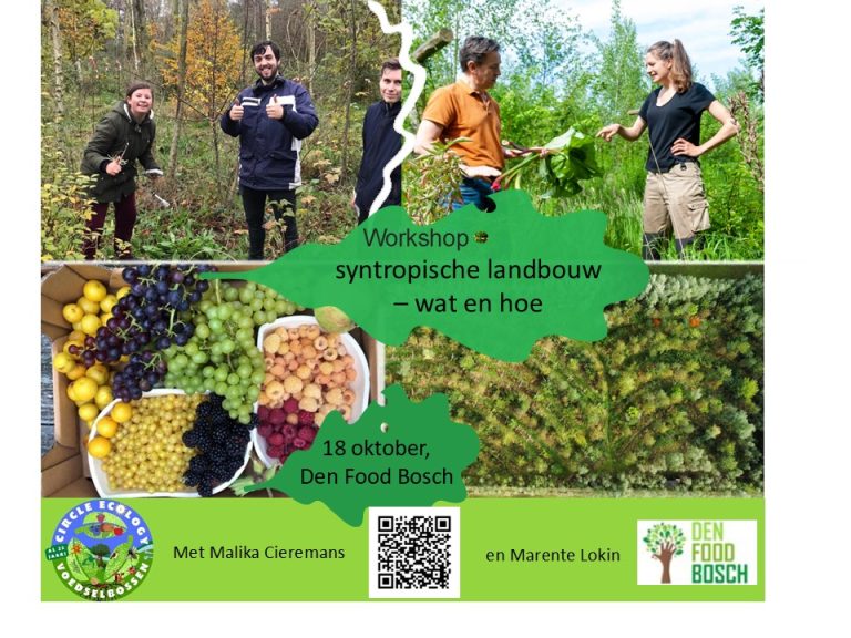 Workshop: Syntropische landbouw – wat en hoe