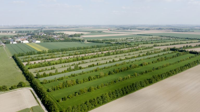Onderwijsfilm agroforestry en akkerbouw: speciaal voor docenten