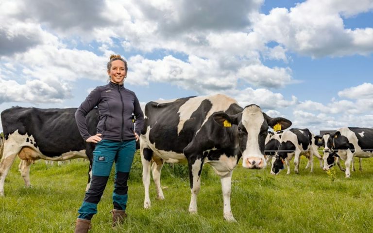 Factsheet 17: Van idee naar bedrijfsplan – Het Agroforestry Bedrijfsmodel Canvas