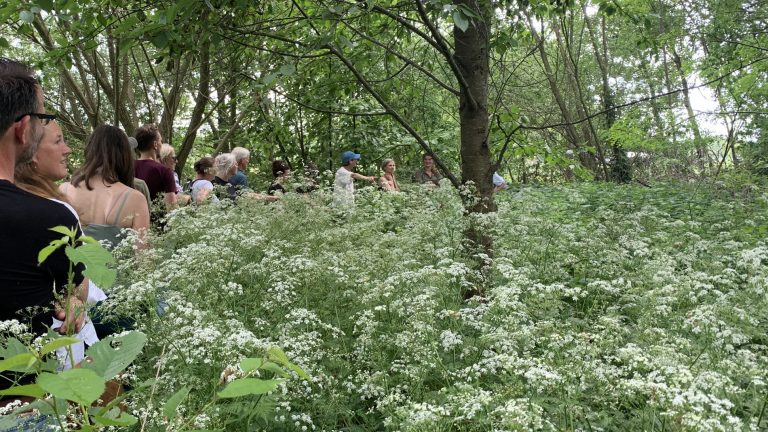Bomen en struiken op landbouwgrond: in contact met wetten, vergunningen en de vele andere praktische bezwaren