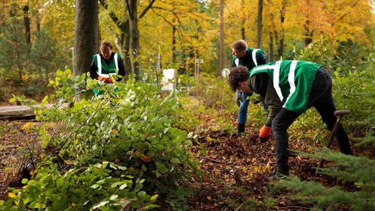 Bomenvinder: Het juiste stekje op je plekje! – Tool door Meerbomen.Nu
