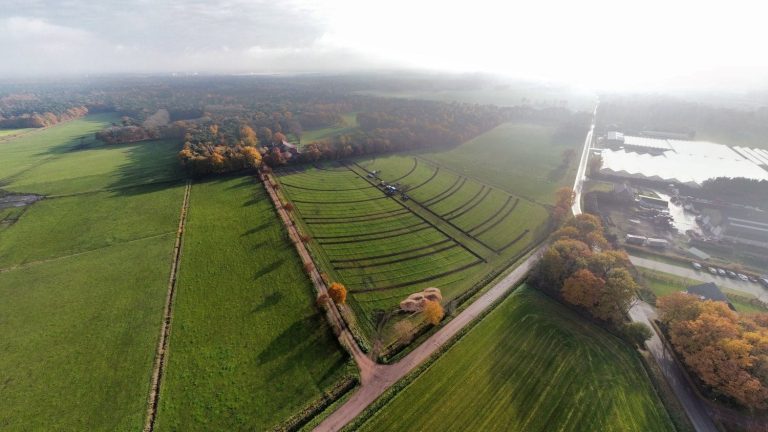 Vier bakens van vernieuwing voor de boslandbouw