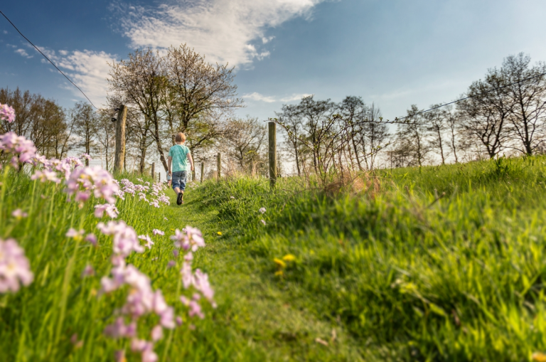 Congres ‘Boeren met Bomen en Struiken’