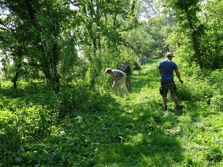 Workshop – Van Bos naar Agroforestry Systeem