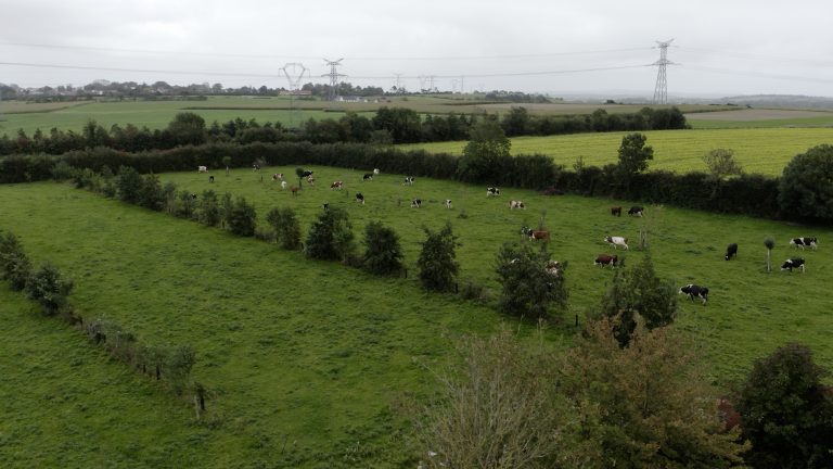 Filmvertoning ‘Bomen op mijn land’ in Frankrijk