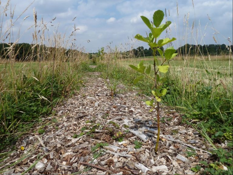Voucher om kosteloos een agroforestry cursus te volgen!