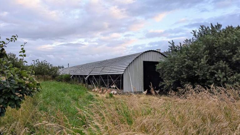 Groningse bomenlandbouw krijgt aandacht tijdens zomertour langs pionierende boeren