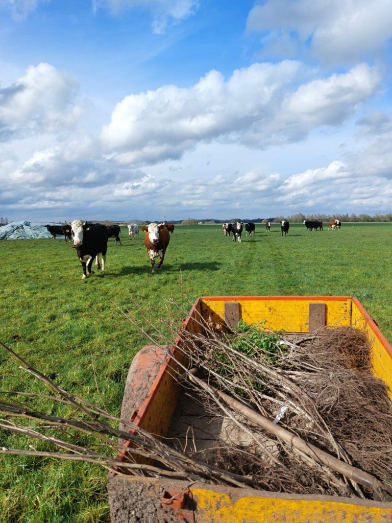Bijeenkomst 5 | Agroforestry Netwerk Groningen