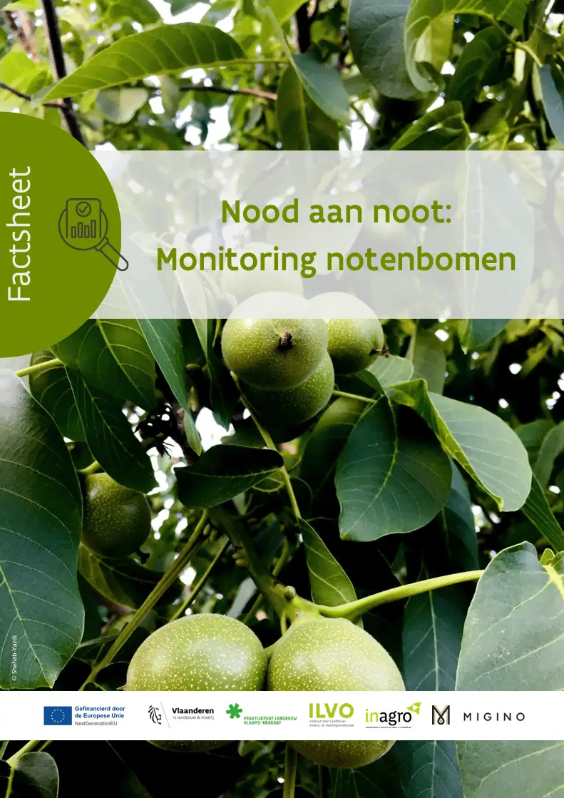 Monitoring notenbomen