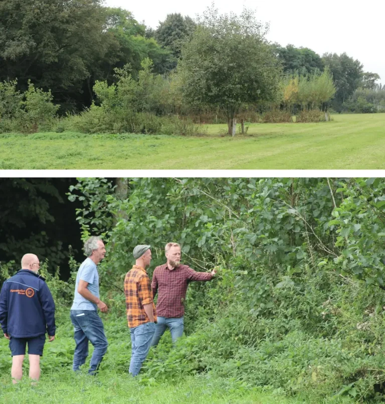 excursie voederbomen