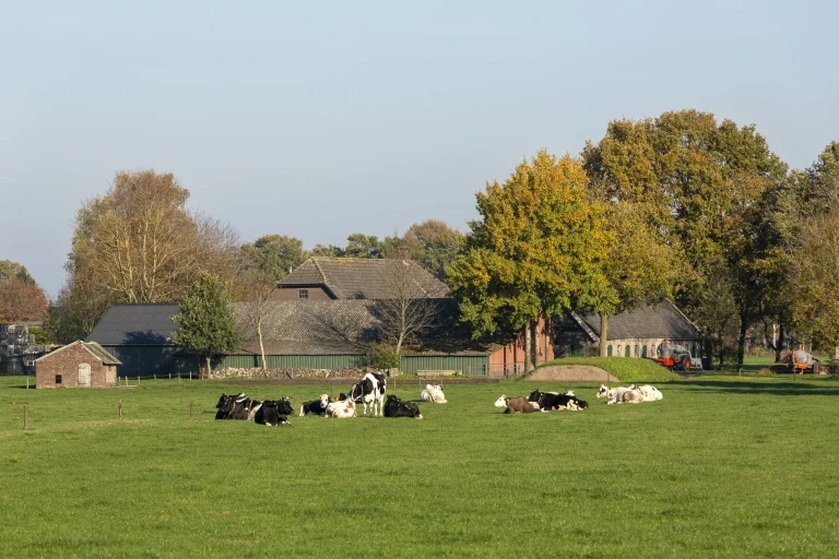 Grootschalige bomenactie voor boeren weer van start