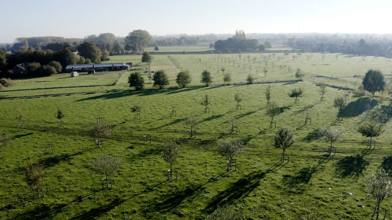Save the date: Online jaarevenement 2025 Agroforestry Netwerk Nederland. Ben jij er (weer) bij?