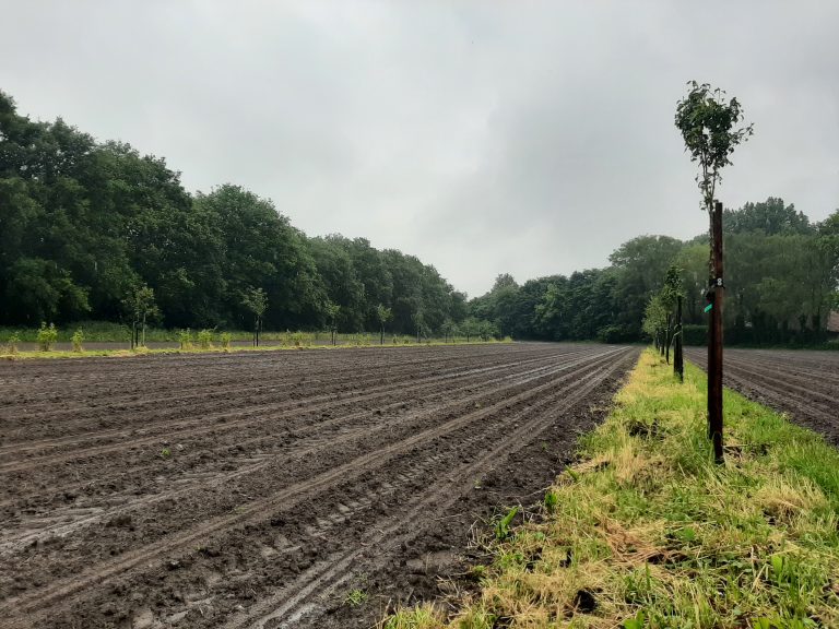 Inspiratiemiddag agroforestry in het onderwijs