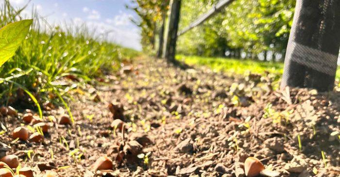 Agroforestry Netwerk Nederland op de Biobeurs 2026