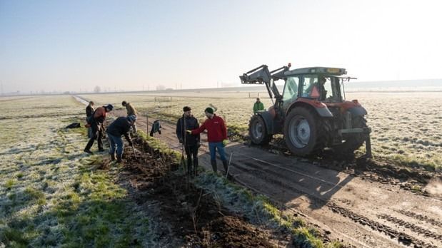 Agroforestry groeit in de provincies | Agroforestry Netwerk Zuid-Holland