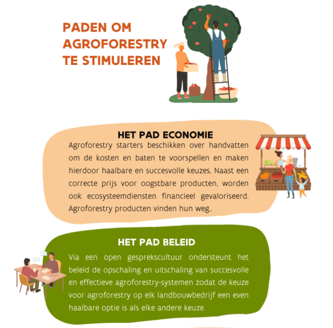 Vlaanderen beleid subsidies