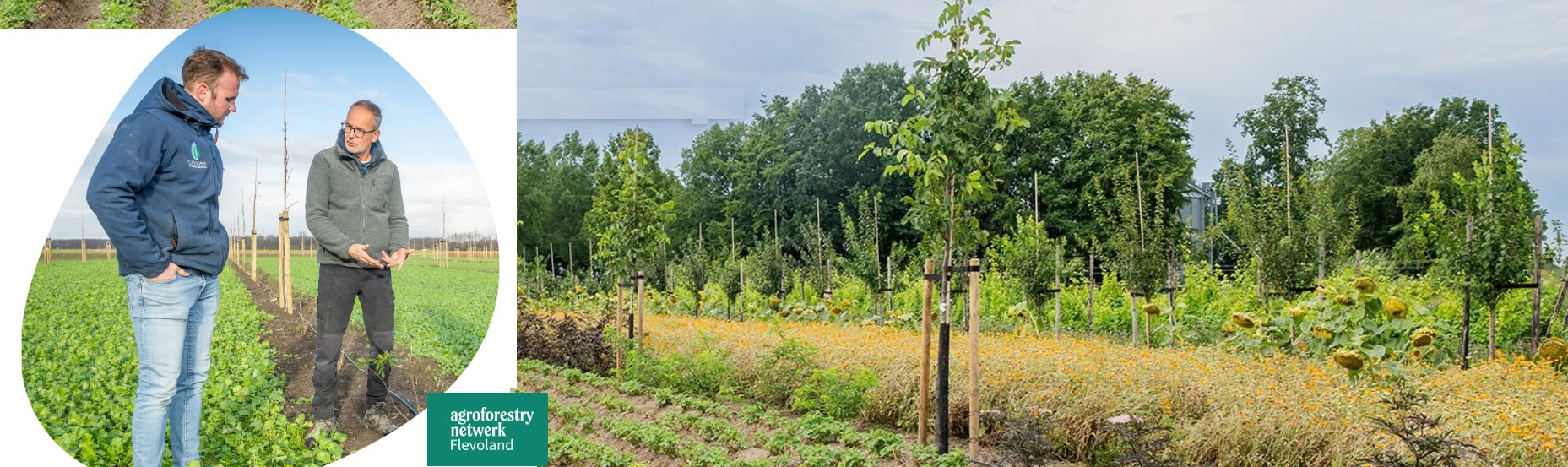 AF netwerk Flevoland