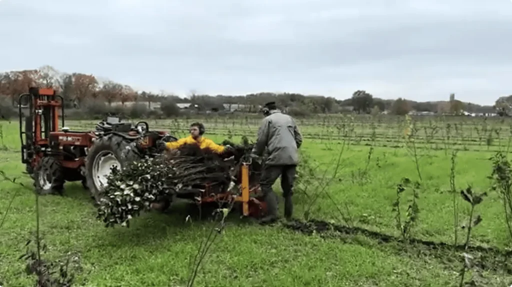 AgroforestrySupplies mechanische aanplant