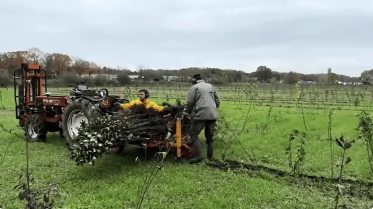 AgroforestrySupplies mechanische aanplant