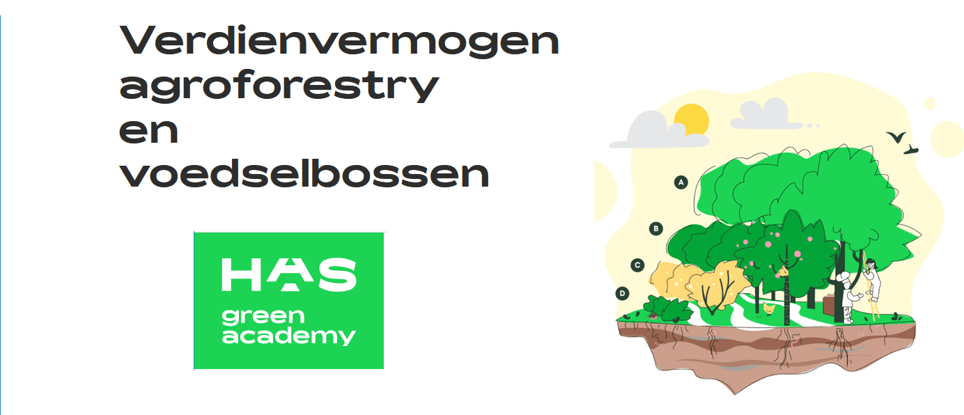 HAS verdienvermogen