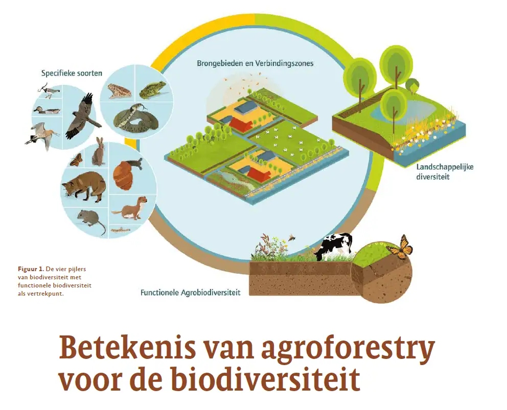 betekenis agroforestry voor biodiversiteit