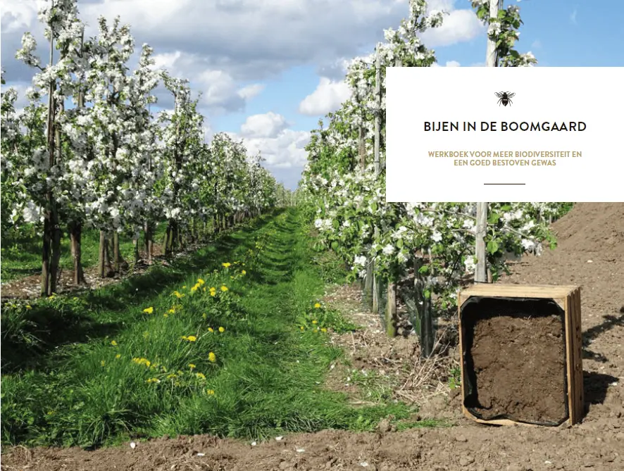 Werkboek bijen in de boomgaard